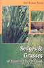 Sedges and Grasses of Eastern Uttar Pradesh in 2 Vols thumbnail 1