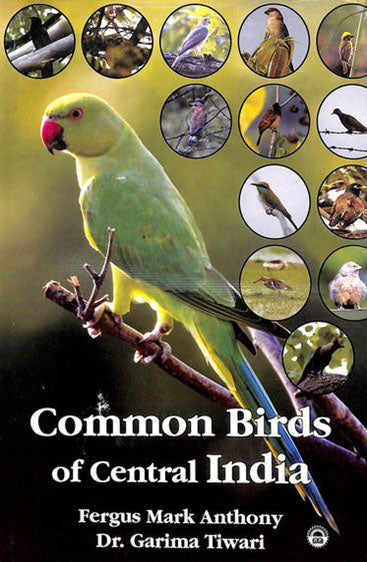 Common Birds of Central India