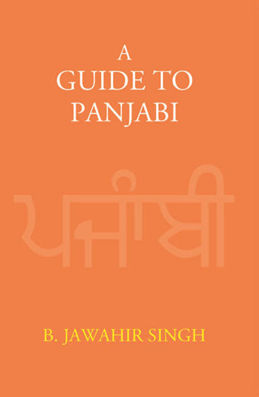 A Guide To Panjabi