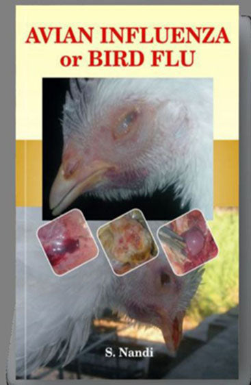 Avian Influenza or Bird Flu