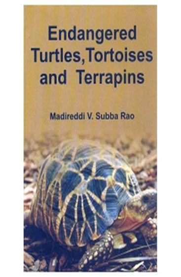 Endangered Turtles Tortoises and Terrapins