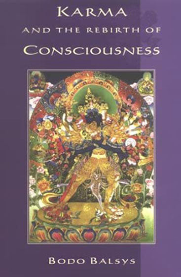 Karma And The Rebirth Of Consciousness