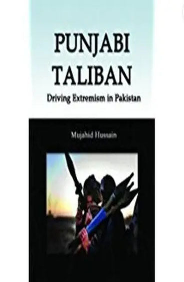 Punjabi Taliban
