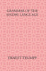 Grammar Of The Sindhi Language: Compared With The Sanskrit-Prakrit And The Cognate Indian Vernaculars thumbnail 1