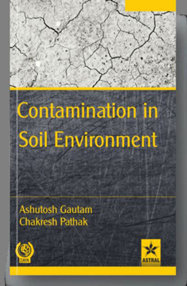Contamination in Soil Environment