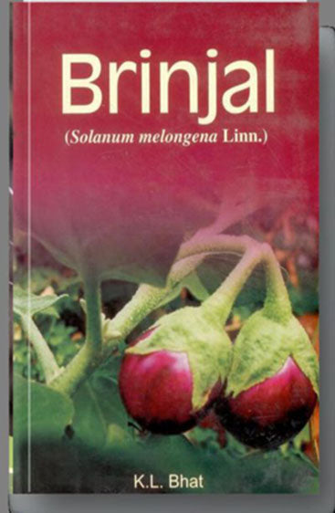 Brinjal