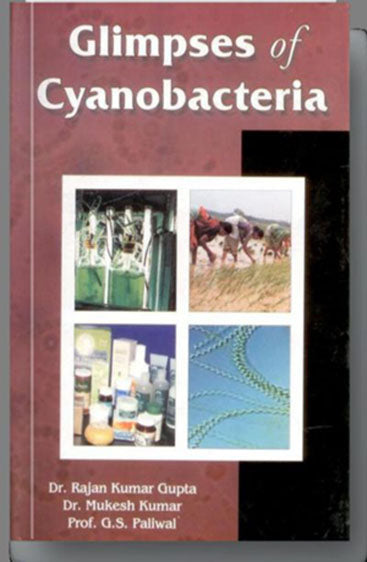 Glimpses of Cyanobacteria