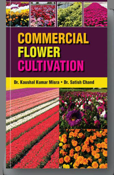 Commercial Flower Cultivation
