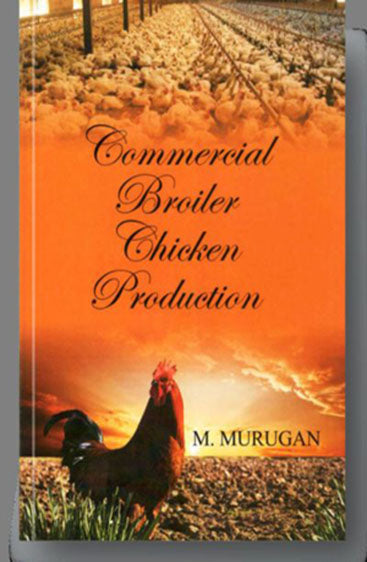 Commercial Broiler Chicken Production