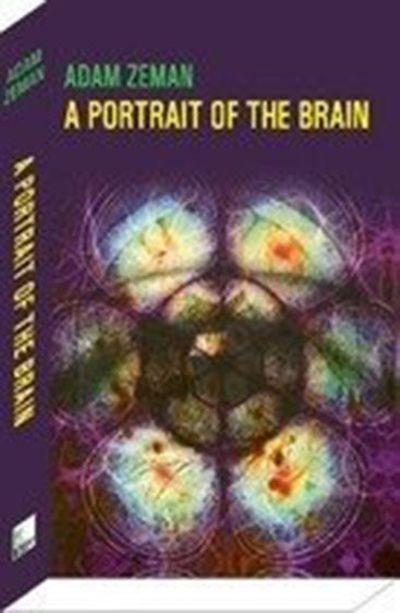 A portrait of the brain
