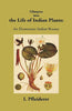 Glimpses Into The Life Of Indian Plants An Elementary Indian Botany thumbnail 1