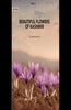 Beautiful Flowers Of Kashmir thumbnail 1
