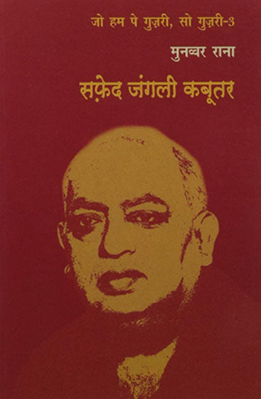 Safed Jangali Kabootar (सफ़ेद जंगली कबूतर)