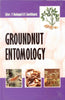 Groundnut Entomology thumbnail 1
