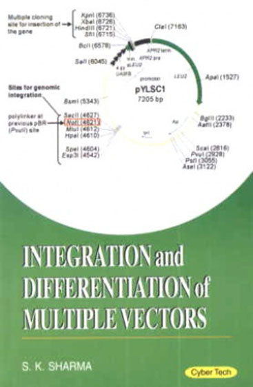 Integration and Differentiatation of Multiple Vector