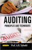 Auditing : Principles And Techniques thumbnail 1
